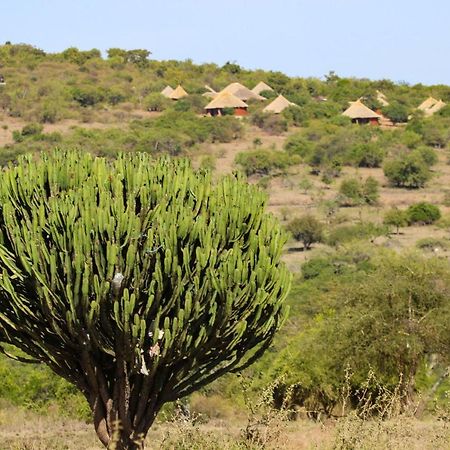Africa Safari Maasai Boma Camping Serengeti Buitenkant foto